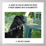 Your Photo Here! My Best Friend Presa Canario Mix Posters