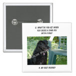 Your Photo Here! My Best Friend Shar-Pei Mix Pinback Buttons