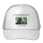 Your Photo Here! My Best Friend Shar-Pei Mix Mesh Hats