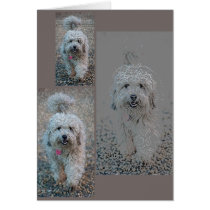 "Your Photo" Note Cards (Chico) cards