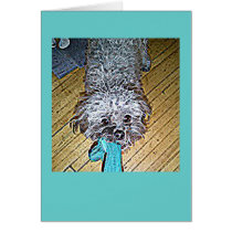 "Your Photo" Note Cards (Moxie) cards