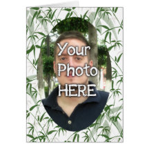 Your Photograph with a Beautiful Border Greeting Cards