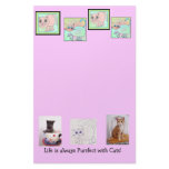 Your purrfect stationery