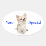Your Special Haired Chihuahua  Sticker