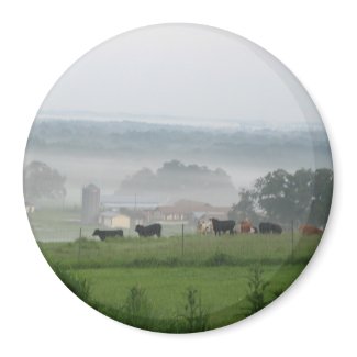 Your Vacation on a Magnet magnet