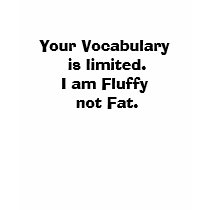 Your Vocabulary is limited.I am Fluffy not Fat. t-shirts