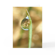 Your World Turned Upside Down Card