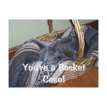 You're a Basket Case! postcards by KatAnnette You're a Basket Case! postcards