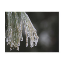 you're a drip postcards