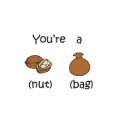 You're A Nut Bag t-shirts by fullofNuts You're A Nut Bag t-shirts