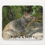 You're A NUT ! Squirrel Mousepad