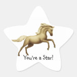 Youre a Star Horse Sticker
