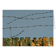 You're Barbed! Greeting Cards