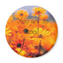 your'e cool!! magnets