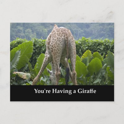 youre_having_a_giraffe_postcard-p2391042