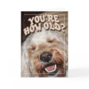 You're How Old? cards
