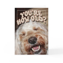 You're How Old? cards