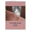 "YOU'RE HOW OLD?" Greeting Card by jaartist28 "YOU'RE HOW OLD?" Greeting Card