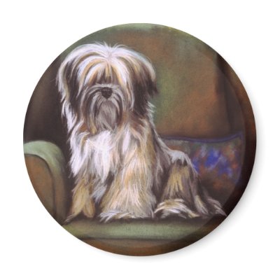 You're In My Spot Magnet by BarbBarcikKeith