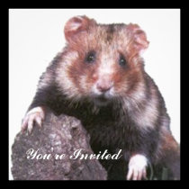 You're Invited invitations