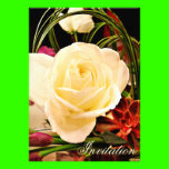 You're Invited_ invitations