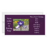 You're Invited 1st Birthday Party Invitations photo cards