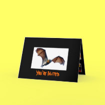 You're Invited cards