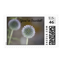 "You're Invited" Postage postage