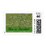 youre invited postage