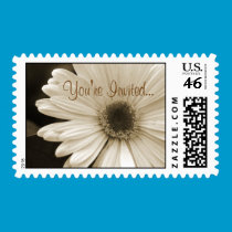 You're Invited Postage Stamp stamps