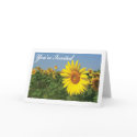 Youre Invited Sunflower cards by DoodleBugTees Youre Invited Sunflower cards