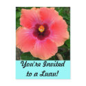You're Invited to a Luau! Invitation postcards by Squidwoman You're Invited to a Luau! Invitation postcards