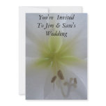 floral, cards, wedding invitation cards, card