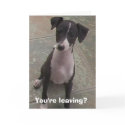You're leaving? cards