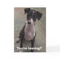 You're leaving? cards by cstpierre You're leaving? cards