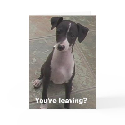 You're leaving? cards by cstpierre