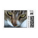 You're Mine postage by swtiff You're Mine postage