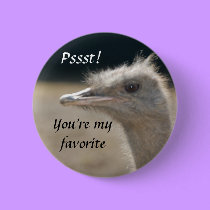 You're My Favorite - button by Horseshoes3 You're My Favorite - button