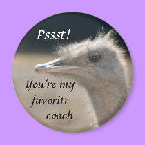 You're My Favorite Coach- magnet by Horseshoes3 You're My Favorite Coach- magnet