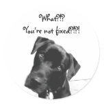 You're not fixed stickers
