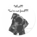 You're not fixed stickers
