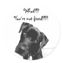 You're not fixed stickers