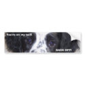 You're on my tail!! BACK OFF! Bumpersticker