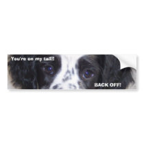 You're on my tail!! BACK OFF! Bumpersticker by gts1959 You're on my tail!! BACK OFF! Bumpersticker