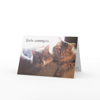 You're Purrfect Valentines Card