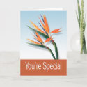You're Special Greeting Card card