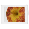 You're the apple of my eye. cards