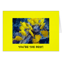 You're the Best! cards