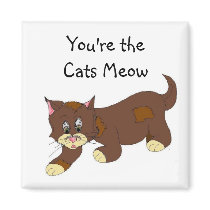 You're the Cats Meow magnets