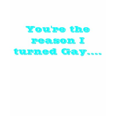 You're the reason I turned Gay.... T-shirt by mesjoy01